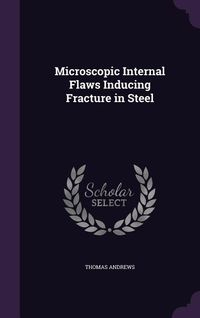 Produktbild: Microscopic Internal Flaws Inducing Fracture in Steel