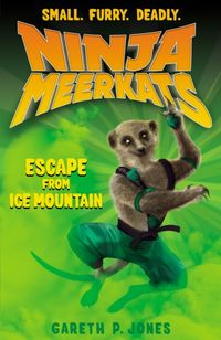 Produktbild: Jones, G: Escape from Ice Mountain