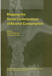 Produktbild: Mapping the Social Consequences of Alcohol Consumption