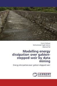 Produktbild: Salmasi, F: Modelling energy dissipation over gabion-stepped
