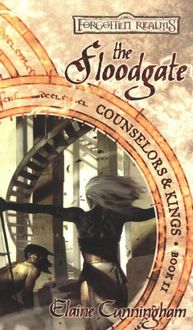 Produktbild: The Floodgate