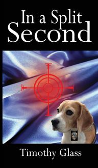 Produktbild: In a Split Second