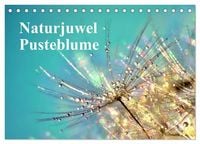 Produktbild: Naturjuwel Pusteblume (Tischkalender 2027 DIN A5 quer), CALVENDO Monatskalender