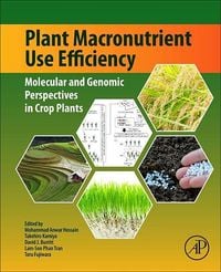 Produktbild: Plant Macronutrient Use Efficiency