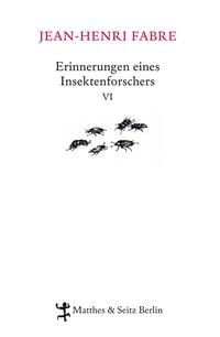 Produktbild: Erinnerungen eines Insektenforschers VI