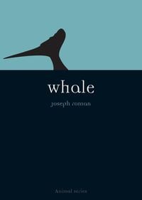 Produktbild: Whale