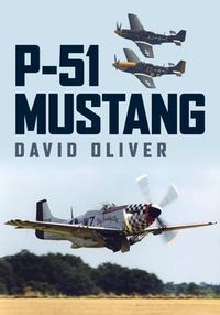 Produktbild: P-51 Mustang
