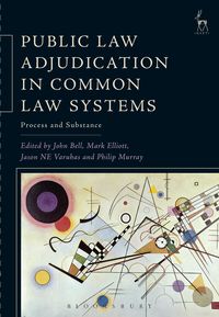 Produktbild: Public Law Adjudication in Common Law Systems
