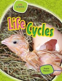Produktbild: Life Cycles