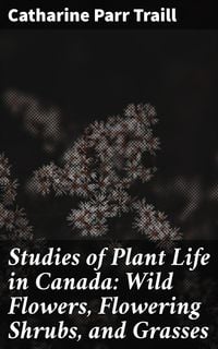 Produktbild: Studies of Plant Life in Canada: Wild Flowers, Flowering Shrubs, and Grasses