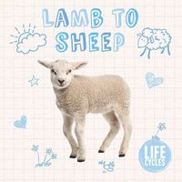 Produktbild: Lamb to Sheep