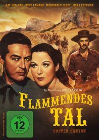 Produktbild: Flammendes Tal