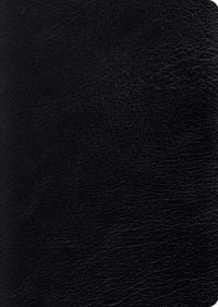 Produktbild: Study Bible-ESV-Large Print