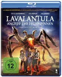 Bild vom Artikel Lavalantula - Angriff der Feuerspinnen vom Autor Steve Guttenberg