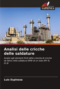 Produktbild: Analisi delle cricche delle saldature