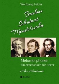 Produktbild: Brahms, Schubert, Mendelssohn: Melomorphosen - Fr&uuml;chte der Musikmeditation, sichtbar gemachte Informationsmatrix ausgew&auml;hlter Musikst&uuml;cke, Gestaltwerk