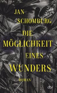 Produktbild: Die M&ouml;glichkeit eines Wunders