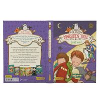 Licht aus! / Die Schule der magischen Tiere Bd.3