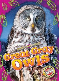 Produktbild: Great Gray Owls