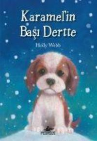 Produktbild: Karamelin Basi Dertte