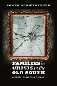 Produktbild: Families in Crisis in the Old South