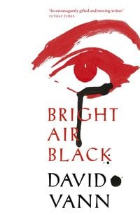 Produktbild: Bright Air Black