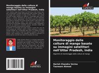 Produktbild: Monitoraggio delle colture di mango basato su immagini satellitari nell'Uttar Pradesh, India