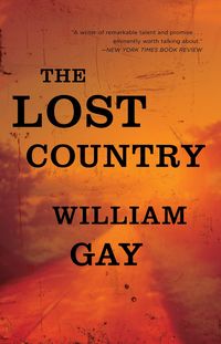 Produktbild: The Lost Country