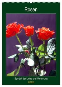 Produktbild: Rosen - Symbol der Liebe und Verehrung (Wandkalender 2026 DIN A2 hoch), CALVENDO Monatskalender