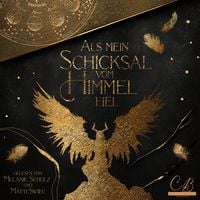 Produktbild: Als mein Schicksal vom Himmel fiel