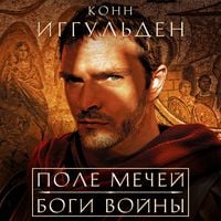 Produktbild: Pole mechey. Bogi voyny