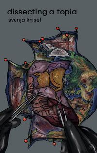 Produktbild: Dissecting a Topia