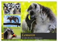 Produktbild: Lemuren die s&uuml;&szlig;en Bewohner Madagaskars (Wandkalender 2026 DIN A3 quer), CALVENDO Monatskalender