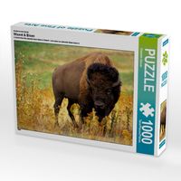 Produktbild: CALVENDO Puzzle Ein Motiv aus dem Kalender Wisent & Bison | 1000 Teile Lege-Gr&ouml;&szlig;e 64x48cm Foto-Puzzle f&uuml;r gl&uuml;ckliche Stunden