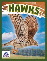 Produktbild: Hawks