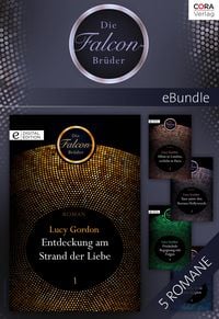 Produktbild: Die Falcon-Br&uuml;der - 5-teilige Serie