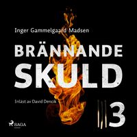 Produktbild: Br&auml;nnande skuld: Del 3