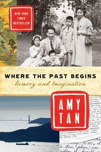 Produktbild: Where the Past Begins