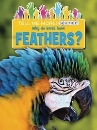 Produktbild: Why Do Birds Have Feathers?