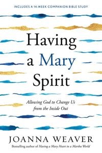 Produktbild: Having a Mary Spirit