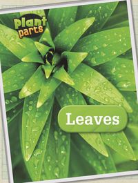 Produktbild: Leaves