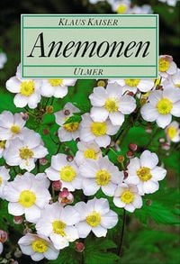 Produktbild: Anemonen