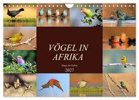 Produktbild: V&ouml;gel in Afrika - Magie der Farben (Wandkalender 2027 DIN A4 quer), CALVENDO Monatskalender