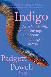 Produktbild: Indigo