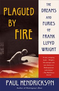 Produktbild: Plagued by Fire