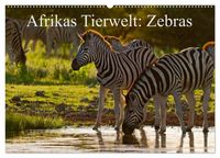 Produktbild: Afrikas Tierwelt: Zebras (Wandkalender 2026 DIN A2 quer), CALVENDO Monatskalender