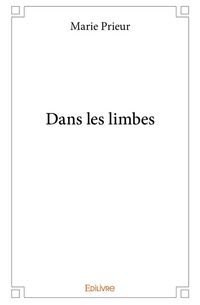 Produktbild: Dans les limbes