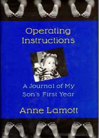 Bild vom Artikel Operating Instructions vom Autor Anne Lamott