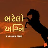Produktbild: Bharelo Agni