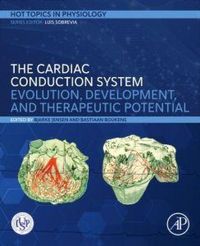 Produktbild: The Cardiac Conduction System